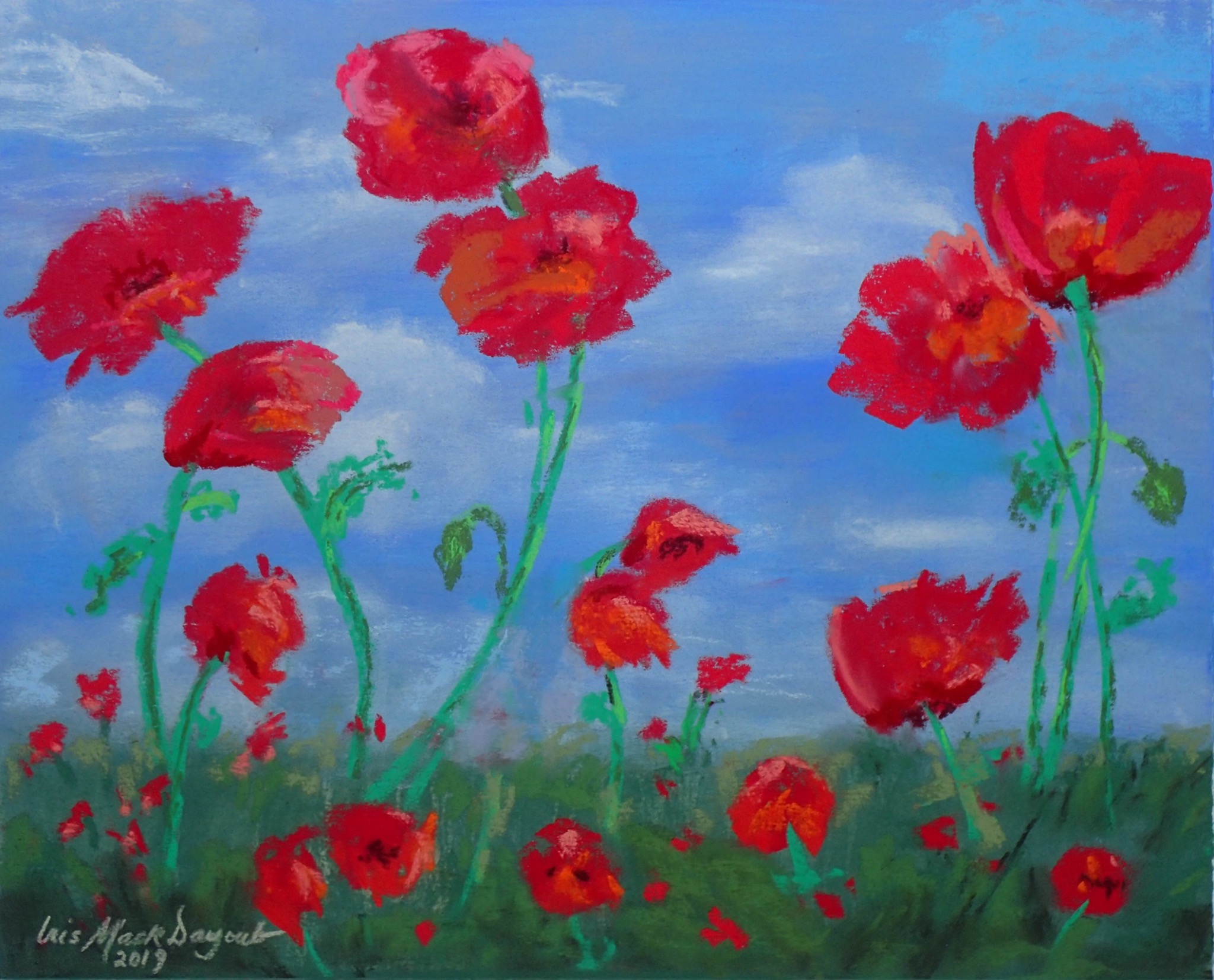 Poppies with sky in background