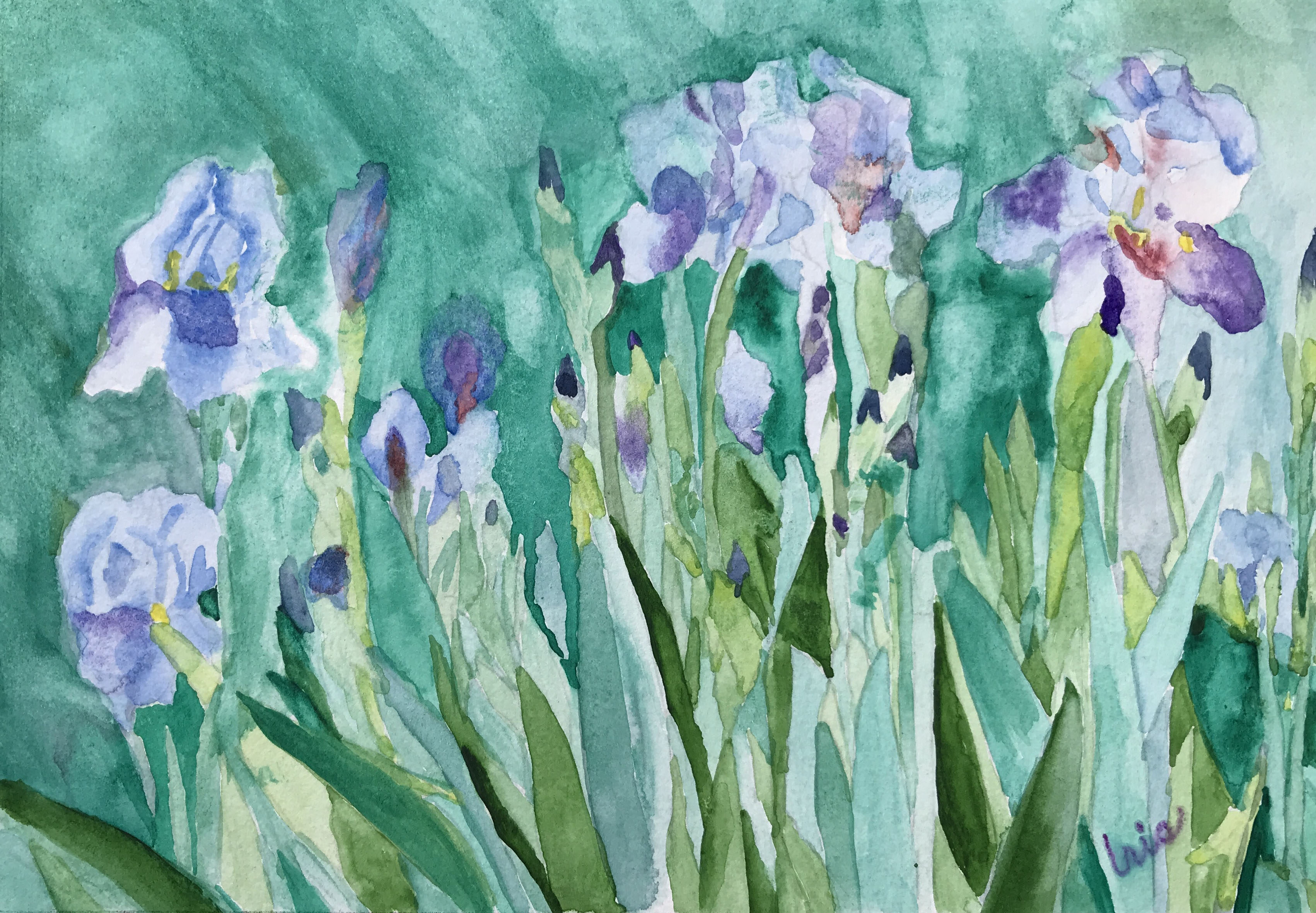 Blue Iris Garden No. 1